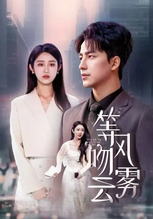 雪落无声 高清电影手机在线观看
